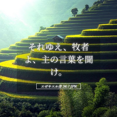 Picture 05 - エゼキエル書 34:7 JPN - それゆえ、牧者よ、主の言葉を聞け - Bible Verse Picture