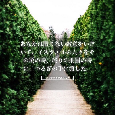 Picture 05 - エゼキエル書 35:5 JPN - あなたは限りない敵意をいだいて、 - Bible Verse Picture