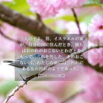 Picture 05 - エゼキエル書 36:17 JPN - 「人の子よ、昔、イスラエルの家が - Bible Verse Picture