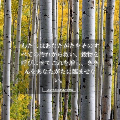 Picture 05 - エゼキエル書 36:29 JPN - わたしはあなたがたをそのすべての - Bible Verse Picture