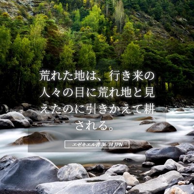 Picture 05 - エゼキエル書 36:34 JPN - 荒れた地は、行き来の人々の目に荒 - Bible Verse Picture