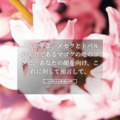 Picture 05 - エゼキエル書 38:2 JPN - 「人の子よ、メセクとトバルの大君 - Bible Verse Picture