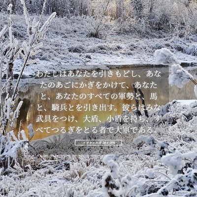 Picture 05 - エゼキエル書 38:4 JPN - わたしはあなたを引きもどし、あな - Bible Verse Picture