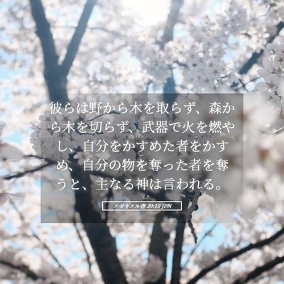 Picture 05 - エゼキエル書 39:10 JPN - 彼らは野から木を取らず、森から木 - Bible Verse Picture