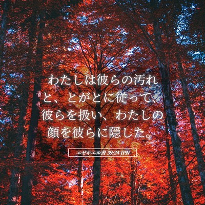 Picture 05 - エゼキエル書 39:24 JPN - わたしは彼らの汚れと、とがとに従 - Bible Verse Picture