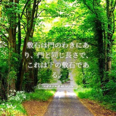 Picture 05 - エゼキエル書 40:18 JPN - 敷石は門のわきにあり、門と同じ長 - Bible Verse Picture