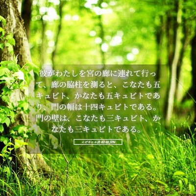 Picture 05 - エゼキエル書 40:48 JPN - 彼がわたしを宮の廊に連れて行って - Bible Verse Picture