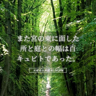 Picture 05 - エゼキエル書 41:14 JPN - また宮の東に面した所と庭との幅は - Bible Verse Picture