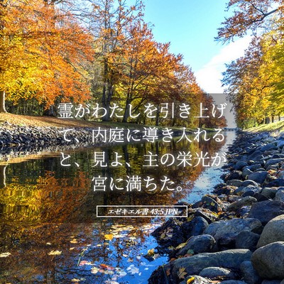 Picture 05 - エゼキエル書 43:5 JPN - 霊がわたしを引き上げて、内庭に導 - Bible Verse Picture