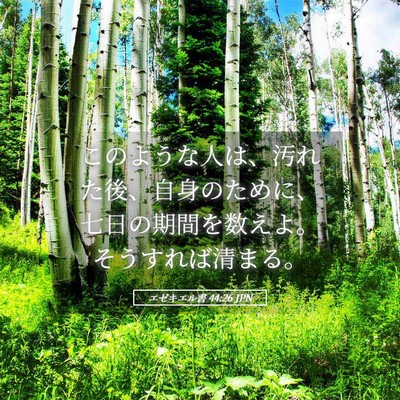 Picture 05 - エゼキエル書 44:26 JPN - このような人は、汚れた後、自身の - Bible Verse Picture