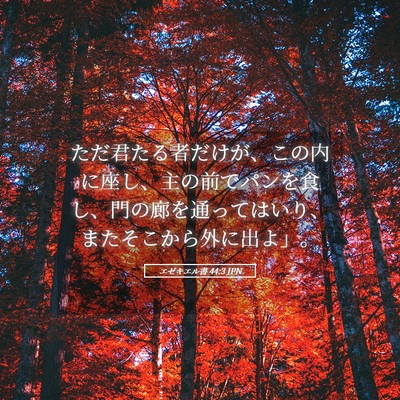 Picture 05 - エゼキエル書 44:3 JPN - ただ君たる者だけが、この内に座し - Bible Verse Picture