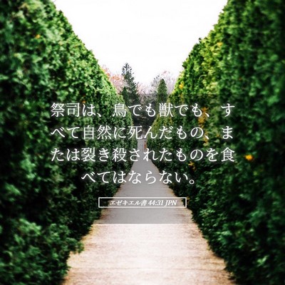 Picture 05 - エゼキエル書 44:31 JPN - 祭司は、鳥でも獣でも、すべて自然 - Bible Verse Picture
