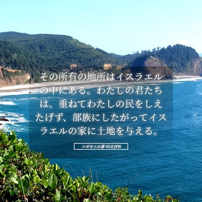 Picture 05 - エゼキエル書 45:8 JPN - その所有の地所はイスラエルの中に - Bible Verse Picture