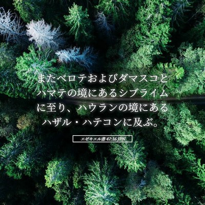 Picture 05 - エゼキエル書 47:16 JPN - またベロテおよびダマスコとハマテ - Bible Verse Picture