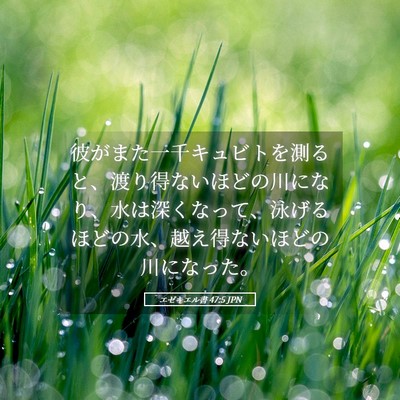 Picture 05 - エゼキエル書 47:5 JPN - 彼がまた一千キュビトを測ると、渡 - Bible Verse Picture