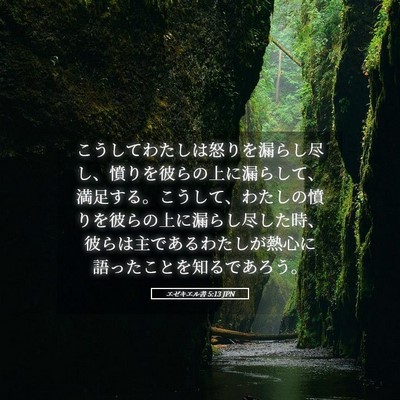 Picture 05 - エゼキエル書 5:13 JPN - こうしてわたしは怒りを漏らし尽し - Bible Verse Picture