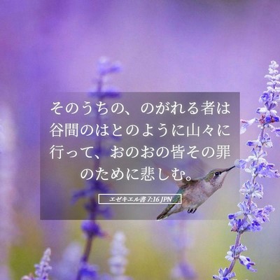 Picture 05 - エゼキエル書 7:16 JPN - そのうちの、のがれる者は谷間のは - Bible Verse Picture