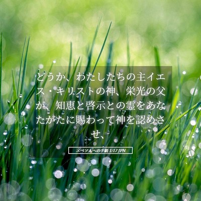 Picture 05 - エペソ人への手紙 1:17 JPN - どうか、わたしたちの主イエス・キ - Bible Verse Picture