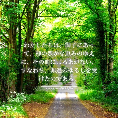Picture 05 - エペソ人への手紙 1:7 JPN - わたしたちは、御子にあって、神の - Bible Verse Picture