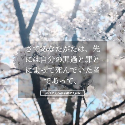 Picture 05 - エペソ人への手紙 2:1 JPN - さてあなたがたは、先には自分の罪 - Bible Verse Picture