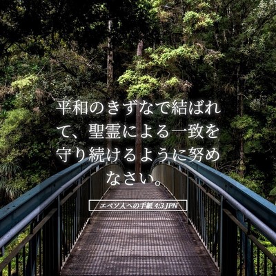 Picture 05 - エペソ人への手紙 4:3 JPN - 平和のきずなで結ばれて、聖霊によ - Bible Verse Picture