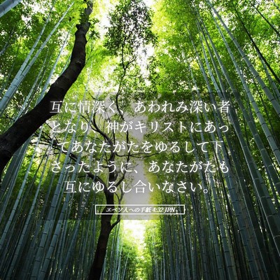 Picture 05 - エペソ人への手紙 4:32 JPN - 互に情深く、あわれみ深い者となり - Bible Verse Picture