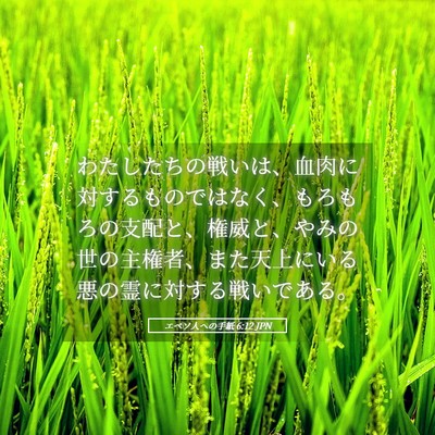 Picture 05 - エペソ人への手紙 6:12 JPN - わたしたちの戦いは、血肉に対する - Bible Verse Picture