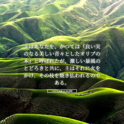 Picture 05 - エレミヤ書 11:16 JPN - 主はあなたを、かつては『良い実の - Bible Verse Picture