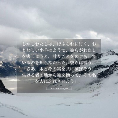 Picture 05 - エレミヤ書 11:19 JPN - しかしわたしは、ほふられに行く、 - Bible Verse Picture