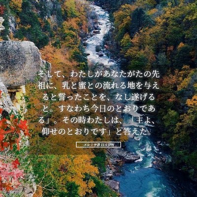 Picture 05 - エレミヤ書 11:5 JPN - そして、わたしがあなたがたの先祖 - Bible Verse Picture