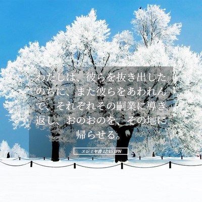 Picture 05 - エレミヤ書 12:15 JPN - わたしは、彼らを抜き出したのちに - Bible Verse Picture