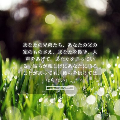 Picture 05 - エレミヤ書 12:6 JPN - あなたの兄弟たち、あなたの父の家 - Bible Verse Picture