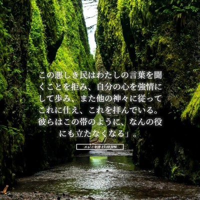 Picture 05 - エレミヤ書 13:10 JPN - この悪しき民はわたしの言葉を聞く - Bible Verse Picture