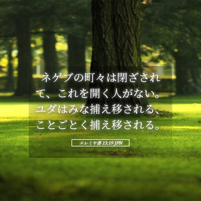 Picture 05 - エレミヤ書 13:19 JPN - ネゲブの町々は閉ざされて、これを - Bible Verse Picture