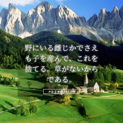 Picture 05 - エレミヤ書 14:5 JPN - 野にいる雌じかでさえも子を産んで - Bible Verse Picture