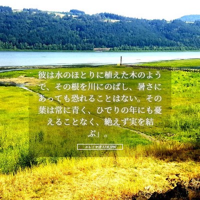 Picture 05 - エレミヤ書 17:8 JPN - 彼は水のほとりに植えた木のようで - Bible Verse Picture