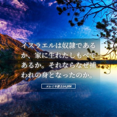 Picture 05 - エレミヤ書 2:14 JPN - イスラエルは奴隷であるか、家に生 - Bible Verse Picture