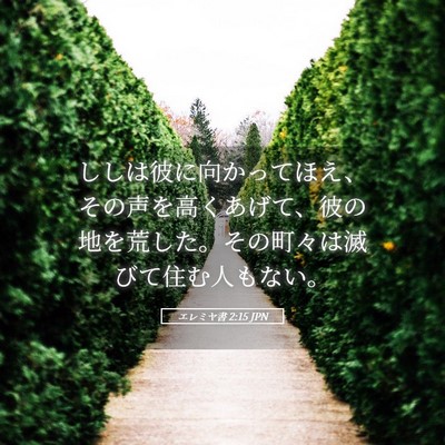 Picture 05 - エレミヤ書 2:15 JPN - ししは彼に向かってほえ、その声を - Bible Verse Picture