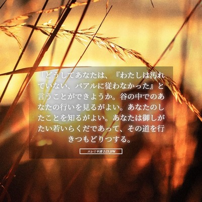 Picture 05 - エレミヤ書 2:23 JPN - 「どうしてあなたは、『わたしは汚 - Bible Verse Picture