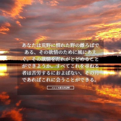 Picture 05 - エレミヤ書 2:24 JPN - あなたは荒野に慣れた野の雌ろばで - Bible Verse Picture