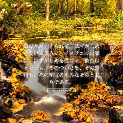 Picture 05 - エレミヤ書 2:26 JPN - 盗びとが捕えられて、はずかしめを - Bible Verse Picture