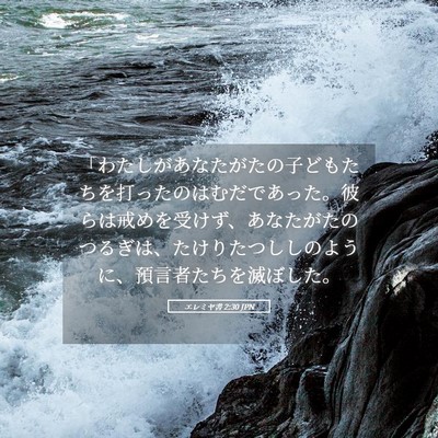 Picture 05 - エレミヤ書 2:30 JPN - 「わたしがあなたがたの子どもたち - Bible Verse Picture