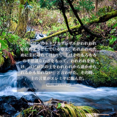 Picture 05 - エレミヤ書 21:2 JPN - 「バビロンの王ネブカデレザルがわ - Bible Verse Picture