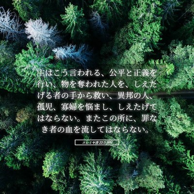Picture 05 - エレミヤ書 22:3 JPN - 主はこう言われる、公平と正義を行 - Bible Verse Picture