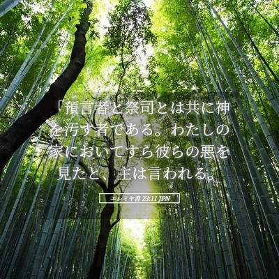Picture 05 - エレミヤ書 23:11 JPN - 「預言者と祭司とは共に神を汚す者 - Bible Verse Picture