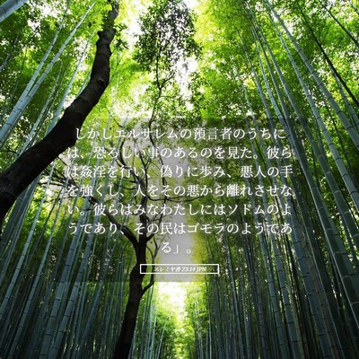 Picture 05 - エレミヤ書 23:14 JPN - しかしエルサレムの預言者のうちに - Bible Verse Picture