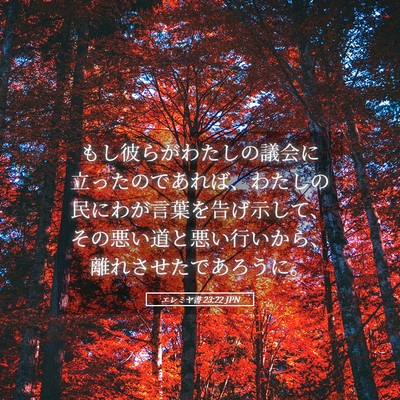Picture 05 - エレミヤ書 23:22 JPN - もし彼らがわたしの議会に立ったの - Bible Verse Picture