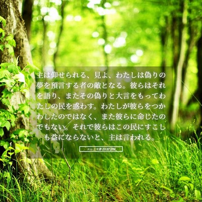 Picture 05 - エレミヤ書 23:32 JPN - 主は仰せられる、見よ、わたしは偽 - Bible Verse Picture