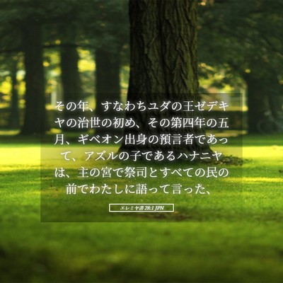 Picture 05 - エレミヤ書 28:1 JPN - その年、すなわちユダの王ゼデキヤ - Bible Verse Picture