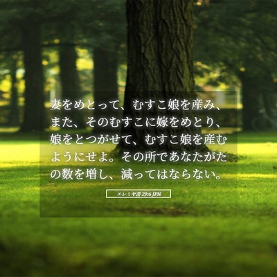Picture 05 - エレミヤ書 29:6 JPN - 妻をめとって、むすこ娘を産み、ま - Bible Verse Picture